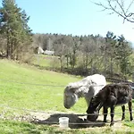 Hotel Au Vieux Moulin