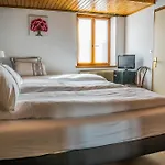 Au Vieux Moulin Hotel Lapoutroie