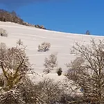 Au Vieux Moulin Lapoutroie