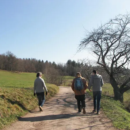 Au Vieux Moulin Отель 2*