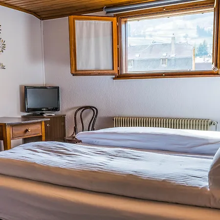 Hotel Au Vieux Moulin 2*