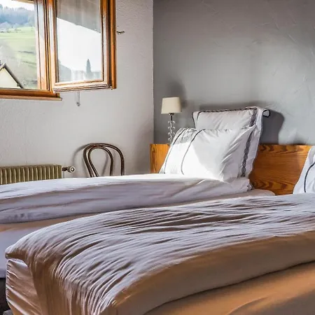 Au Vieux Moulin Vintage Hotel Lapoutroie
