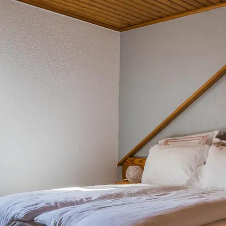 Hotel Au Vieux Moulin - Ambiance Vintage فندق