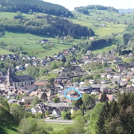 Au Vieux Moulin Лапутруа