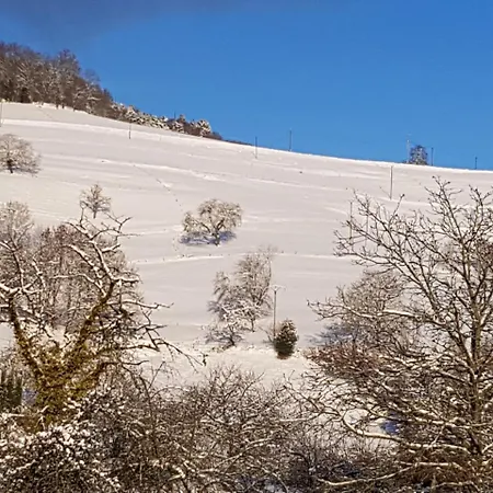 Au Vieux Moulin Лапутруа