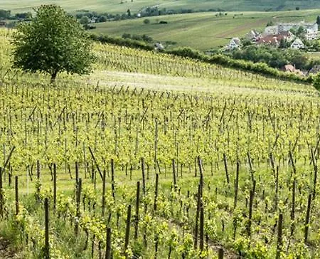 Au Vieux Moulin Отель