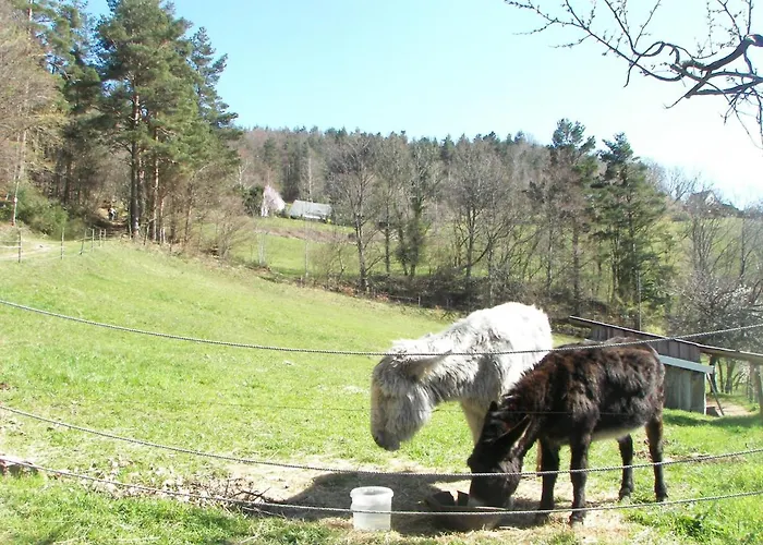 Hotel Au Vieux Moulin
