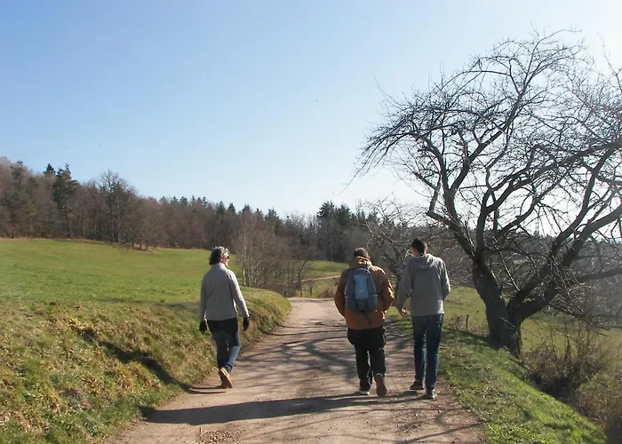 Au Vieux Moulin Hotel 2*