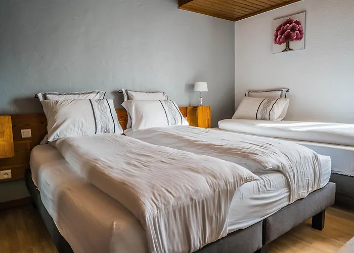 Au Vieux Moulin Hotel