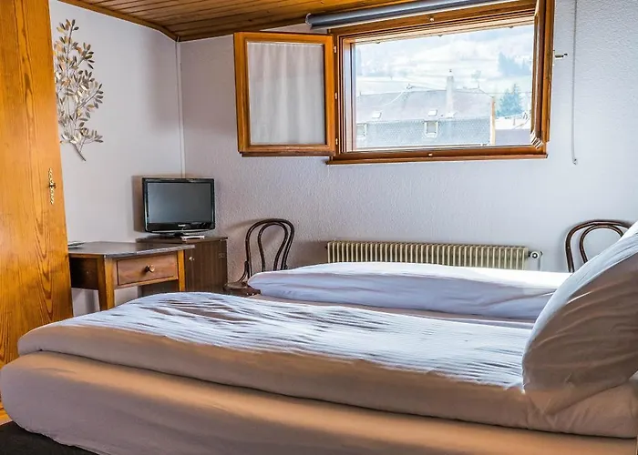 Hotel Au Vieux Moulin 2*