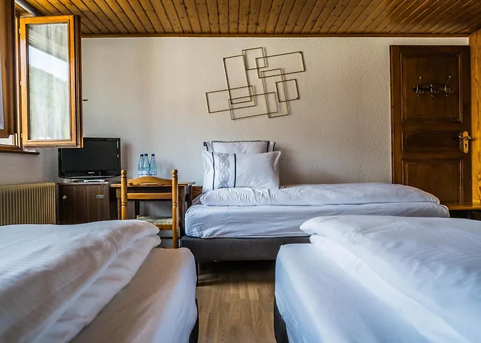 Au Vieux Moulin Hotel Lapoutroie