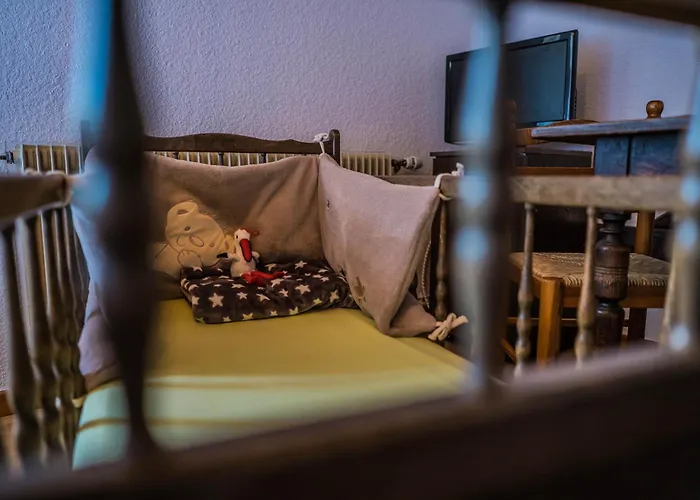 Au Vieux Moulin 2* Lapoutroie