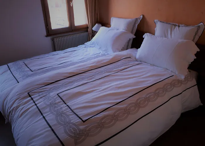 Au Vieux Moulin Hotel