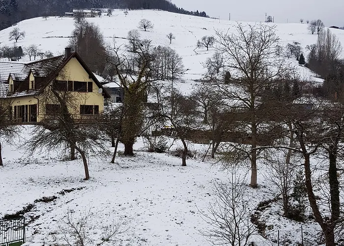 Hotel Au Vieux Moulin 2*