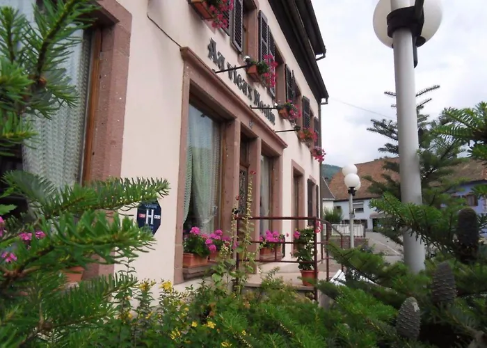 Hotel Au Vieux Moulin 2*