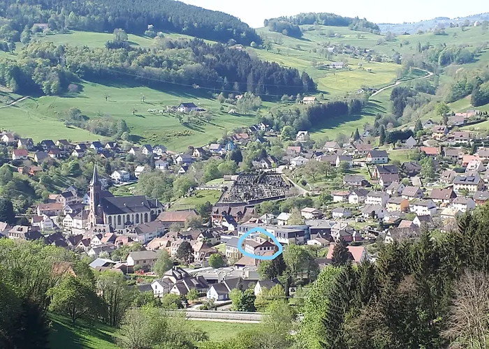 Au Vieux Moulin Lapoutroie