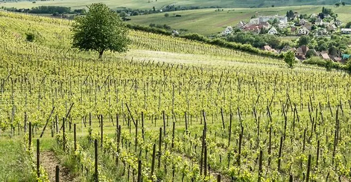 Au Vieux Moulin Hotel